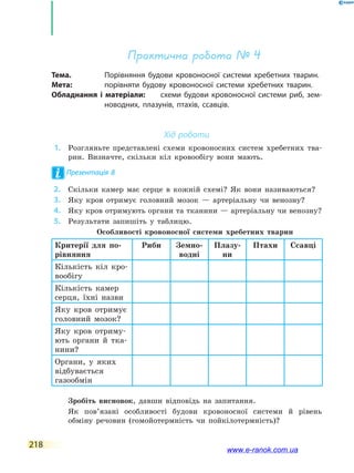218
Практична робота № 4
Тема.	 Порівняння будови кровоносної системи хребетних тварин.
Мета:	 порівняти будову кровоносної системи хребетних тварин.
Обладнання і матеріали:	 схеми будови кровоносної системи риб, зем-
новодних, плазунів, птахів, ссавців.
Хід роботи
	1.	 Розгляньте представлені схеми кровоносних систем хребетних тва-
рин. Визначте, скільки кіл кровообігу вони мають.
Презентація 8
	2.	 Скільки камер має серце в кожній схемі? Як вони називаються?
	3.	 Яку кров отримує головний мозок — артеріальну чи венозну?
	4.	 Яку кров отримують органи та тканини — артеріальну чи венозну?
	5.	 Результати запишіть у таблицю.
	 	 Особливості кровоносної системи хребетних тварин
Критерії для по-
рівняння
Риби Земно-
водні
Плазу-
ни
Птахи Ссавці
Кількість кіл кро-
вообігу
Кількість камер
серця, їхні назви
Яку кров отримує
головний мозок?
Яку кров отриму-
ють органи й  тка-
нини?
Органи, у яких
відбувається
газообмін
	 	 Зробіть висновок, давши відповідь на запитання.
	 	 Як пов’язані особливості будови кровоносної системи й рівень
обміну речовин (гомойотермність чи пойкілотермність)?
www.e-ranok.com.ua
 