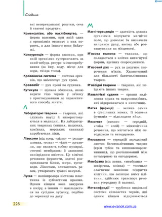 228
Словник
вні неперетравлені рештки, сеча
й  статеві продукти.
Коменсалізм, або нахлібництво, —
форма взаємин, при якій один
з організмів отримує з них ко-
ристь, а для іншого вони байду-
жі.
Конкуренція — форма взаємин, при
якій організми суперничають за
який-­небудь ресурс місцеперебу-
вання (за їжу, воду, місце для
нори, гнізда тощо).
Кровоносна система — система орга-
нів, що забезпечує рух крові.
Кровообіг — рух крові по судинах.
Кутикула — щільна оболонка, якою
вкрите тіло червів у зв’язку
з  пристосуванням до паразитич-
ного способу життя.
Л
Лабораторні тварини — тварини, які
служать науці й використову-
ються в медицині. На лаборатор-
них тваринах (мишах, пацюках,
хом’яках, морських свинках)
апробуються ліки.
Лізосоми (від грец. «лізис» — розще-
плення, «сома» — тіло) — органе-
ли, що являють собою пухирці,
оточені мембраною й заповнені
напіврідким вмістом. Це хімічні
речовини ферменти, здатні роз-
щеплювати білки, жири, вугле-
води. Лізосоми, зливаючись ра-
зом, утворюють травні вакуолі.
Луска — напівпрозора кісткова плас-
тинка із зубчастими краями.
Одним кінцем вона занурена
в шкіру, а іншим — накладаєть-
ся на сусідню лусочку, подібно
до черепиці на даху.
М
Магніторецепція — здатність деяких
організмів відчувати магнітне
поле, що дозволяє їм визначати
напрямок руху, висоту або роз-
ташування на місцевості.
М’язова тканина — тканина, що
складається з клітин витягнутої
форми, здатних скорочуватися.
М’язовий рух — рух за рахунок ско-
рочення м’язів. Характерний
для більшості багатоклітинних
тварин.
М’ясоїдні тварини — тварини, які по-
їдають інших тварин.
Мальпігієві судини — органи виді-
лення комах та павукоподібних,
які відкриваються в кишечник.
Матка (цариця) — велика самка
в суспільних комах, її основна
функція — відкладати яйця.
Мезоглея («мезос» — середній,
«гліа»  — клей) — міжклітинна
речовина, що міститься між ек-
тодермою та ентодермою.
Мезодерма — середній зародковий
листок багатоклітинних тварин
(крім губок та кишковопорож-
нинних), що розташований між
ектодермою та ентодермою.
Мембрана (від латин. «мембрана»  —
шкірочка, плівка) — тоненьке
еластичне зовнішнє покриття
клітини, що захищає вміст клі-
тини, здійснює транспорт речо-
вин усередину й назовні.
Метанефридії — трубочки видільної
системи кільчастих червів, які
одним кінцем відкриваються
www.e-ranok.com.ua
 