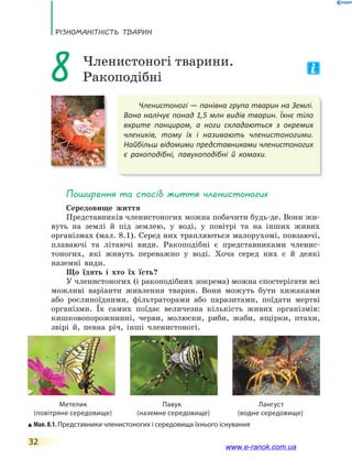 РізноманіТнісТь ТВаРин
32
Членистоногі — панівна група тварин на Землі.
Вона налічує понад 1,5 млн видів тварин. Їхнє тіло
вкрите панциром, а ноги складаються з окремих
члеників, тому їх і називають членистоногими.
Найбільш відомими представниками членистоногих
є ракоподібні, павукоподібні й комахи.
8 Членистоногі тварини.
Ракоподібні
Поширення та спосіб життя членистоногих
Середовище життя
Представників членистоногих можна побачити будь-де. Вони жи-
вуть на землі й під землею, у воді, у повітрі та на інших живих
організмах (мал. 8.1). Серед них трапляються малорухомі, повзаючі,
плаваючі та літаючі види. Ракоподібні є представниками членис-
тоногих, які живуть переважно у воді. Хоча серед них є й деякі
наземні види.
Що їдять і хто їх їсть?
У членистоногих (і ракоподібних зокрема) можна спостерігати всі
можливі варіанти живлення тварин. Вони можуть бути хижаками
або рослиноїдними, фільтраторами або паразитами, поїдати мертві
організми. Їх самих поїдає величезна кількість живих організмів:
кишковопорожнинні, черви, молюски, риби, жаби, ящірки, птахи,
звірі й, певна річ, інші членистоногі.
Мал. 8.1. Представники членистоногих і середовища їхнього існування
Метелик Павук Лангуст
(повітряне середовище) (наземне середовище) (водне середовище)
www.e-ranok.com.ua
 