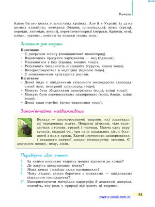 Комахи
43
бливо багато комах у тропічних країнах. Але й в Україні їх дуже
велика кількість: метелики (білани, шовкопряди), жуки (хрущі,
короїди, листоїди, вусачі), перетинчастокрилі (мурахи, бджоли, оси),
клопи, таргани, коники та комахи інших груп.
значення для людини
Позитивне
• Є джерелом шовку (шовковичний шовкопряд).
• Виробляють продукти харчування — мед (бджоли).
• Уживаються в їжу (сарана, коники тощо).
• Регулюють чисельність шкідників (туруни, клопи тощо).
• Використовуються в медицині (бджоли тощо).
• Є запилювачами культурних рослин.
Негативне
• Деякі види є шкідниками сільського господарства (колорад-
ський жук, непарний шовкопряд тощо).
• Можуть бути збудниками захворювань (воші, кліщі тощо).
• Можуть бути переносниками захворювань (воші, блохи, кліщі
тощо).
• Деякі види отруйні (жуки-наривники тощо).
запам’ятайте найважливіше
Комахи — високорозвинені тварини, які опанували
всі середовища життя. Покриви хітинові, тіло скла-
дається з голови, грудей і черевця. Мають одну пару
вусиків, складні очі, три пари ходильних ніг, у біль-
шості з них є крила. Здатні переносити захворювання
і завдавати значної шкоди господарству людини. Є
джерелом шовку, меду, ліків.
Перевірте свої знання
1. За якими ознаками тварину можна віднести до комах?
2. Де живуть представники комах?
3. Яких комах і навіщо люди одомашнили?
4. Чому людині важко боротися з комахами — шкідниками
сільського господарства?
5*. Використовуючи матеріали параграфа й додаткові джерела,
поясніть, яку роль у природі відіграють ці тварини.
www.e-ranok.com.ua
 