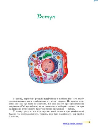 5
Вступ
У цьому, першому, розділі підручника з біології для 7-го класу
розпочинається ваше знайомство зі світом тварин. Не можна ска-
зати, що вам ця тема не знайома. Ви вже знаєте про одноклітинні
твариноподібні організми, яких називають найпростішими, та про
найдавніші дуже прості багатоклітинні організми — губки.
У цьому розділі ми підсумуємо ваші знання про особливості
будови та життєдіяльність тварин, про їхні відмінності від грибів
і  рослин.
www.e-ranok.com.ua
 