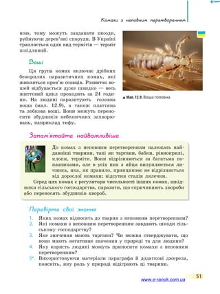 Комахи з неповним перетворенням
51
запам’ятайте найважливіше
До комах з неповним перетворенням належать най-
давніші тварини, такі як таргани, бабки, рівнокрилі,
клопи, терміти. Вони відрізняються за багатьма по-
казниками, але в усіх них з яйця вилуплюється ли-
чинка, яка, як правило, принципово не відрізняється
від дорослої комахи; відсутня стадія лялечки.
Серед цих комах є регулятори чисельності інших комах, шкід-
ники сільського господарства, паразити, що спричиняють хвороби
або переносять збудників хвороб.
Перевірте свої знання
1. Яких комах відносять до тварин з неповним перетворенням?
2. Які комахи з неповним перетворенням завдають шкоди сіль-
ському господарству?
3. Яке значення мають таргани? Чи можна стверджувати, що
вони мають негативне значення у природі та для людини?
4. Яку користь людині можуть приносити комахи з неповним
перетворенням?
5*. Використовуючи матеріали параграфа й додаткові джерела,
поясніть, яку роль у природі відіграють ці тварини.
ною, тому можуть завдавати шкоди,
руйнуючи дерев’яні споруди. В Україні
трапляється один вид термітів — терміт
шкідливий.
Воші
Ця група комах включає дрібних
безкрилих паразитичних комах, які
живляться кров’ю ссавців. Розвиток во-
шей відбувається дуже швидко — весь
життєвий цикл проходить за 24 годи-
ни. На людині паразитують головна
воша (мал. 12.9), а також платтяна
та лобкова воші. Вони можуть перено-
сити збудників небезпечних захворю-
вань, наприклад тифу.
Мал. 12.9. Воша головна
www.e-ranok.com.ua
 