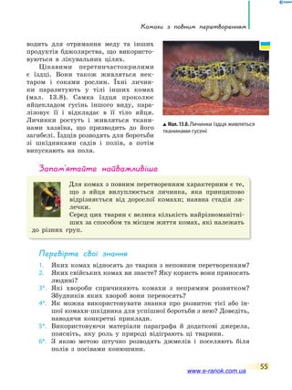 Комахи з повним перетворенням
55
водить для отримання меду та інших
продуктів бджолярства, що використо-
вуються в лікувальних цілях.
Цікавими перетинчастокрилими
є їздці. Вони також живляться нек-
таром і соками рослин. Їхні личин-
ки паразитують у тілі інших комах
(мал. 13.8). Самка їздця проколює
яйцекладом гусінь іншого виду, пара-
лізовує її і відкладає в її тіло яйця.
Личинки ростуть і живляться ткани-
нами хазяїна, що призводить до його
загибелі. Їздців розводять для боротьби
зі шкідниками садів і полів, а потім
випускають на поля.
запам’ятайте найважливіше
Для комах з повним перетворенням характерним є те,
що з яйця вилуплюється личинка, яка принципово
відрізняється від дорослої комахи; наявна стадія ля-
лечки.
Серед цих тварин є велика кількість найрізноманітні-
ших за способом та місцем життя комах, які належать
до різних груп.
Перевірте свої знання
1. Яких комах відносять до тварин з неповним перетворенням?
2. Яких свійських комах ви знаєте? Яку користь вони приносять
людині?
3*. Які хвороби спричиняють комахи з непрямим розвитком?
Збудників яких хвороб вони переносять?
4*. Як можна використовувати знання про розвиток тієї або ін-
шої комахи-шкідника для успішної боротьби з нею? Доведіть,
наводячи конкретні приклади.
5*. Використовуючи матеріали параграфа й додаткові джерела,
поясніть, яку роль у природі відіграють ці тварини.
6*. З якою метою штучно розводять джмелів і поселяють біля
полів з посівами конюшини.
Мал. 13.8. Личинки їздця живляться
тканинами гусені
www.e-ranok.com.ua
 