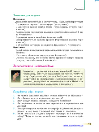 молюски
59
значення для людини
Позитивне
• Деякі види вживаються в їжу (устриці, мідії, кальмари тощо).
• Є джерелом перлин і перламутру (двостулкові).
• Є джерелом цінної фарби (сепія головоногих, пурпур чере-
воногих).
• Контролюють чисельність водяних організмів (головоногі й хи-
жі черевоногі).
• Очищують воду у водоймах (двостулкові).
• Використовуються замість грошей (черепашки деяких чере-
воногих).
• Є об’єктами наукових досліджень (головоногі, черевоногі).
Негативне
• Деякі види є проміжними хазяями паразитичних червів (став-
ковики).
• Шкідники сільського господарства (слимаки).
• Отруйні тварини, які можуть стати причиною смерті людини
(конуси, синьокільчастий восьминіг).
запам’ятайте найважливіше
Молюски — це тварини, що мають зовнішній скелет —
черепашку. Їхнє тіло поділяється на голову, тулуб та
ногу. Серед молюсків є рослиноїдні організми, хижаки,
сапротрофи та фільтратори. Найпоширенішими є че-
ревоногі, двостулкові та головоногі молюски. Найбільш
високорозвиненими молюсками є головоногі.
Перевірте свої знання
1. За якими ознаками тварину можна віднести до молюсків?
2. Яку будову мають черепашки молюсків?
3. Яку шкоду людині можуть заподіяти молюски?
4. Які переваги та недоліки має черепашка в черевоногих мо-
люсків?
5*. Використовуючи матеріали параграфа й додаткові джерела,
поясніть, яку роль у природі відіграють ці тварини.
6*. Яких слимаків людина штучно вирощує для вживання
в їжу? Чому до листя, яким їх вигодовують, додають крей-
ду?
www.e-ranok.com.ua
 