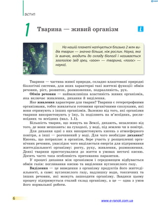 ВсТУП
6
На нашій планеті налічується близько 2 млн ви-
дів тварин — значно більше, ніж рослин. Наука, яка
їх вивчає, входить до складу біології і називається
зоологією (від грец. «зоон» — тварина, «логос» —
наука).
Тварини — частина живої природи, складно влаштовані природні
біологічні системи, для яких характерні такі життєві функції: обмін
речовин, ріст, розвиток, розмноження, подразливість, рух.
Обмін речовин — найважливіша властивість живих організмів,
яка включає живлення, дихання й виділення.
Яке живлення характерне для тварин? Тварини є гетеротрофними
організмами, тобто живляться готовими органічними сполуками, які
вони отримують з інших організмів. Залежно від того, які організми
тварини використовують у їжу, їх поділяють на м’ясоїдних, росли-
ноїдних та всеїдних (мал. 1.1).
Більшість тварин, що живуть на Землі, дихають, незалежно від
того, де вони мешкають: на суходолі, у воді, під землею чи в повітрі.
Для дихання одні з них використовують кисень з атмосферного
повітря, а інші — розчинений у воді. Для чого необхідне дихання?
Кисень, що потрапляє в організм, бере участь у розщепленні орга-
нічних речовин, унаслідок чого виділяється енергія для підтримання
життєдіяльності організму: росту, руху, живлення, розмноження.
Деякі тварини пристосувалися до життя в умовах нестачі кисню.
Досить часто така особливість притаманна паразитам.
У процесі дихання між організмом і середовищем відбувається
обмін газів: поглинання кисню та виділення вуглекислого газу.
Виділення — це виведення з організму продуктів його життєді-
яльності, а саме: вуглекислого газу, надлишку води, токсичних та
інших речовин, які можуть зашкодити організму. Завдяки цьому
процесу підтримується сталий склад організму, а це — одна з умов
його нормальної роботи.
1 Тварина — живий організм
www.e-ranok.com.ua
 
