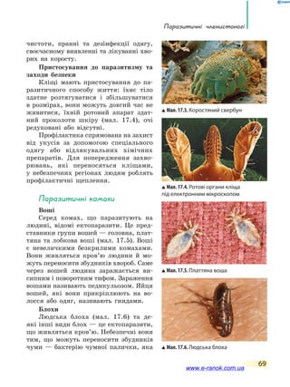 Паразитичні членистоногі
69
чистоти, пранні та дезінфекції одягу,
своєчасному виявленні та лікуванні хво-
рих на коросту.
Пристосування до паразитизму та
заходи безпеки
Кліщі мають пристосування до па-
разитичного способу життя: їхнє тіло
здатне розтягуватися і збільшуватися
в розмірах, вони можуть довгий час не
живитися, їхній ротовий апарат здат-
ний проколоти шкіру (мал. 17.4), очі
редуковані або відсутні.
Профілактика спрямована на захист
від укусів за допомогою спеціального
одягу або відлякувальних хімічних
препаратів. Для попередження захво-
рювань, які переносяться кліщами,
у  небезпечних регіонах людям роблять
профілактичні щеплення.
Паразитичні комахи
Воші
Серед комах, що паразитують на
людині, відомі ектопаразити. Це пред-
ставники групи вошей — головна, плат-
тяна та лобкова воші (мал. 17.5). Воші
є невеличкими безкрилими комахами.
Вони живляться кров’ю людини й мо-
жуть переносити збудників хвороб. Саме
через вошей людина заражається ви-
сипним і поворотним тифом. Зараження
вошами називають педикульозом. Яйця
вошей, які вони прикріплюють на во-
лосся або одяг, називають гнидами.
Блохи
Людська блоха (мал. 17.6) та де­
які інші види блох — це ектопаразити,
що живляться кров’ю. Небезпечні вони
тим, що можуть переносити збудників
чуми  — бактерію чумної палички, яка
Мал. 17.3. Коростяний свербун
Мал. 17.4. Ротові органи кліща
під електронним мікроскопом
Мал. 17.5. Платтяна воша
Мал. 17.6. Людська блоха
www.e-ranok.com.ua
 