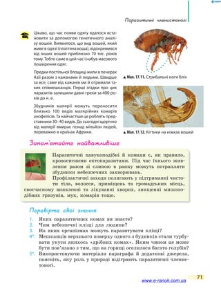 Паразитичні членистоногі
71
Цікаво, що час появи одягу вдалося вста-
новити за допомогою генетичного аналі-
зу вошей. Виявилося, що вид вошей, який
живе в одязі (платтяна воша), відокремився
від інших вошей приблизно 70 тис. років
тому. Тобто саме в цей час і набув масового
поширення одяг.
Предки постільної блощиці жили в печерах
Азії разом з кажанами й людьми. Швидше
за все, саме від кажанів ми й отримали та-
ких співмешканців. Перші згадки про цих
паразитів залишили давні греки за 400 ро-
ків до н. е.
Збудників малярії можуть переносити
близько 100 видів малярійних комарів
анофелісів. Та найчастіше це роблять пред-
ставники 30–40 видів. До сьогодні щорічно
від малярії вмирає понад мільйон людей,
переважно в країнах Африки. Мал. 17.12. Кігтики на ніжках вошей
Мал. 17.11. Стрибальні ноги бліх
запам’ятайте найважливіше
Паразитичні павукоподібні й комахи є, як правило,
кровосисними ектопаразитами. Під час їхнього жив-
лення разом зі слиною в ранку можуть потрапляти
збудники небезпечних захворювань.
Профілактичні заходи полягають у підтриманні чисто-
ти тіла, волосся, приміщень та громадських місць,
своєчасному виявленні та лікуванні хворих, знищенні мишопо-
дібних гризунів, мух, комарів тощо.
Перевірте свої знання
1. Яких паразитичних комах ви знаєте?
2. Чим небезпечні кліщі для людини?
3. На яких організмах можуть паразитувати кліщі?
4*. Мешканців верхнього поверху одного з будинків стали турбу-
вати укуси якихось «дрібних комах». Яким чином це може
бути пов’язано з тим, що на горищі оселилося багато голубів?
5*. Використовуючи матеріали параграфа й додаткові джерела,
поясніть, яку роль у природі відіграють паразитичні членис-
тоногі.
www.e-ranok.com.ua
 