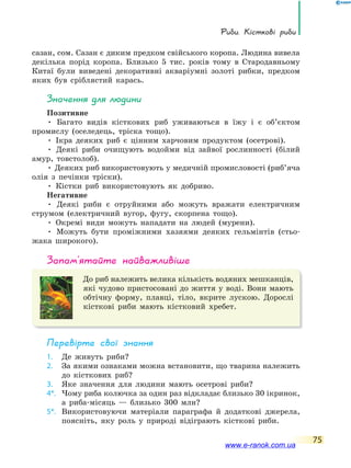 Риби. Кісткові риби
75
сазан, сом. Сазан є диким предком свійського коропа. Людина вивела
декілька порід коропа. Близько 5 тис. років тому в Стародавньому
Китаї були виведені декоративні акваріумні золоті рибки, предком
яких був сріблястий карась.
значення для людини
Позитивне
• Багато видів кісткових риб уживаються в їжу і є об’єктом
промислу (оселедець, тріска тощо).
• Ікра деяких риб є цінним харчовим продуктом (осетрові).
• Деякі риби очищують водойми від зайвої рослинності (білий
амур, товстолоб).
• Деяких риб використовують у медичній промисловості (риб’яча
олія з печінки тріски).
• Кістки риб використовують як добриво.
Негативне
• Деякі риби є отруйними або можуть вражати електричним
струмом (електричний вугор, фугу, скорпена тощо).
• Окремі види можуть нападати на людей (мурени).
• Можуть бути проміжними хазяями деяких гельмінтів (стьо-
жака широкого).
запам’ятайте найважливіше
До риб належить велика кількість водяних мешканців,
які чудово пристосовані до життя у воді. Вони мають
обтічну форму, плавці, тіло, вкрите лускою. Дорослі
кісткові риби мають кістковий хребет.
Перевірте свої знання
1. Де живуть риби?
2. За якими ознаками можна встановити, що тварина належить
до кісткових риб?
3. Яке значення для людини мають осетрові риби?
4*. Чому риба колючка за один раз відкладає близько 30 ікринок,
а риба-місяць — близько 300 млн?
5*. Використовуючи матеріали параграфа й додаткові джерела,
поясніть, яку роль у природі відіграють кісткові риби.
www.e-ranok.com.ua
 