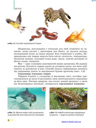 Вступ
8
Наприклад, похолодання є сигналом для змій сховатися на зи-
мівлю, запах рослин є орієнтиром для бджіл, де шукати нектар,
несподіваний дотик до їжака змушує його згорнутися в клубок. По-
дразниками для тварин можуть бути світло, вологість, температура,
механічні впливи, сольовий склад води, звуки, хімічні речовини та
багато інших чинників.
Рух — одна з основних властивостей живих організмів. На відміну
від рослин, більшість тварин здатні до активних рухів, які вони здій-
снюють за допомогою м’язів. Способи їхнього переміщення залежать
від середовища життя та внутрішньої будови організму (мал. 1.2).
Середовища існування тварин
Тварини існують у складному й мінливому світі, постійно при-
стосовуються до нього й регулюють свою життєдіяльність відповідно
до його змін. Частина природи, яка оточує живий організм і з якою
він безпосередньо взаємодіє, називається середовищем існування.
Мал. 1.3. Афаліна видає серії ультразвуків,
за допомогою яких орієнтується під водою
Мал. 1.4. Амфібії освоїли два середовища
існування — водне й наземно-повітряне
Мал. 1.2. Способи переміщення тварин
www.e-ranok.com.ua
 