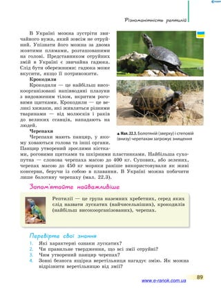 Різноманітність рептилій
89
В Україні можна зустріти зви-
чайного вужа, який зовсім не отруй-
ний. Упізнати його можна за двома
жовтими плямами, розташованими
на голові. Представником отруйних
змій в Україні є звичайна гадюка.
Слід бути обережними: гадюка може
вкусити, якщо її потривожити.
Крокодили
Крокодили — це найбільш висо-
коорганізовані напівводяні плазуни
з видовженим тілом, вкритим рого-
вими щитками. Крокодили — це ве-
ликі хижаки, які живляться різними
тваринами — від молюсків і раків
до великих ссавців, нападають на
людей.
Черепахи
Черепахи мають панцир, у яко-
му ховаються голова та інші органи.
Панцир утворений зрослими кістка-
ми, роговими щитками та шкірними пластинками. Найбільша сухо-
путна — слонова черепаха масою до 400 кг. Супових, або зелених,
черепах масою до 450 кг моряки раніше використовували як живі
консерви, беручи із собою в плавання. В Україні можна побачити
лише болотяну черепаху (мал. 22.3).
запам’ятайте найважливіше
Рептилії — це група наземних хребетних, серед яких
слід назвати лускатих (найчисельніших), крокодилів
(найбільш високоорганізованих), черепах.
Перевірте свої знання
1. Які характерні ознаки лускатих?
2. Чи правильне твердження, що всі змії отруйні?
3. Чим утворений панцир черепах?
4. Зовні безнога ящірка веретільниця нагадує змію. Як можна
відрізнити веретільницю від змії?
Мал. 22.3. Болотяній (зверху) і степовій
(внизу) черепахам загрожує знищення
www.e-ranok.com.ua
 