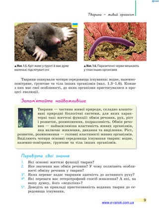 Тварина — живий організм
9
Тварини опанували чотири середовища існування: водне, наземно-
повітряне, ґрунтове та тіла інших організмів (мал. 1.3–1.6). Кожне
з них має свої особливості, до яких організми пристосувалися в про-
цесі еволюції.
запам’ятайте найважливіше
Тварини — частина живої природи, складно влашто-
вані природні біологічні системи, для яких харак-
терні такі життєві функції: обмін речовин, рух, ріст
і розвиток, розмноження, подразливість. Обмін речо-
вин — найважливіша властивість живих організмів,
яка включає живлення, дихання та виділення. Ріст,
розвиток, розмноження — головні властивості живих організмів.
Виділяють чотири основні середовища існування тварин: водне,
наземно-повітряне, ґрунтове та тіла інших організмів.
Перевірте свої знання
1. Які основні життєві функції тварин?
2. Яке значення має обмін речовин? У чому полягають особли-
вості обміну речовин у тварин?
3*. Яких переваг надає тваринам здатність до активного руху?
4*. Які переваги має гетеротрофний спосіб живлення? А які, на
вашу думку, його «недоліки»?
5*. Доведіть на прикладі пристосованість водяних тварин до се-
редовища існування.
Мал. 1.5. Кріт живе у ґрунті й має дуже
маленькі підсліпуваті очі
Мал. 1.6. Паразитичні черви мешкають
у тілах інших організмів
www.e-ranok.com.ua
 