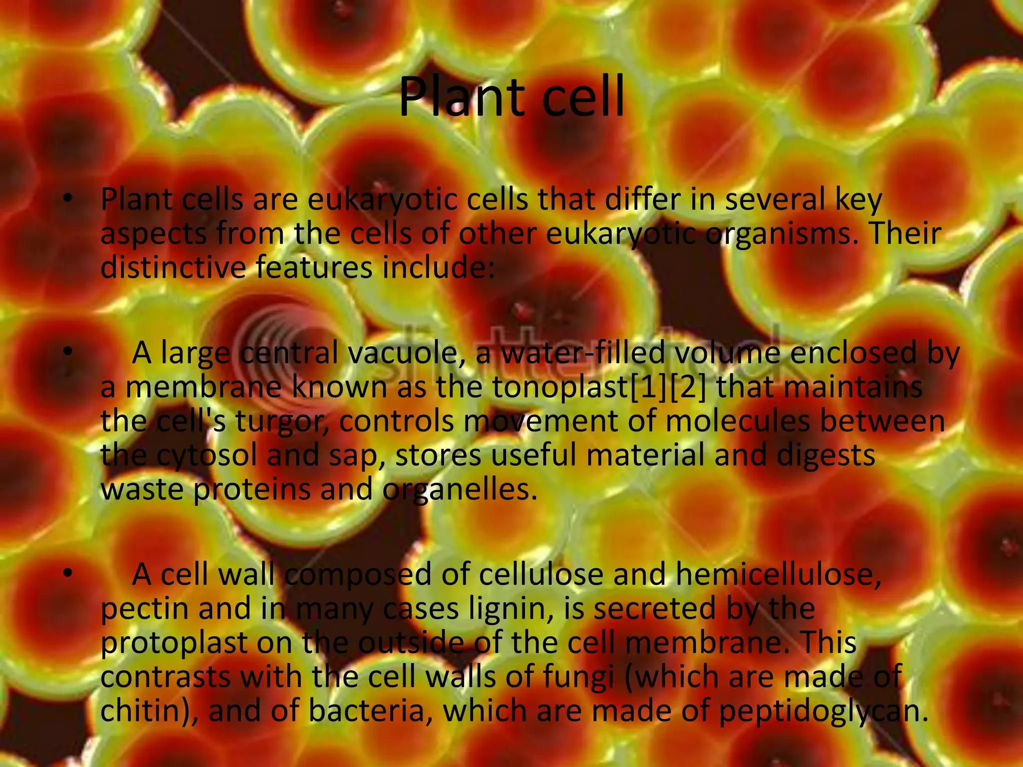 7C Project | PPT