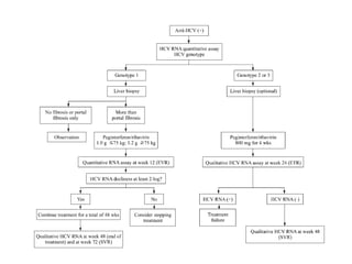 [7] 만성c형 간염 20100308