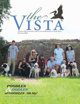A Social Magazine Exclusively for the Residents of Lake Vista.
Vistathe
October 2016
Read About This Special Group Of Dogs That Inhabit The Lanes!
&POODLES
OODLES
of DOODLES - Oh My!
 