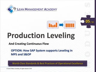 © Lean & Mean Consulting. All rights reserved. 2015© Lean & Mean Consulting. All rights reserved. 2016
05/ 16
Production Leveling
And Creating Continuous Flow
OPTION: How SAP System supports Leveling in
MPS and S&OP
World-Class Standards & Best Practices of Operational Excellence
 