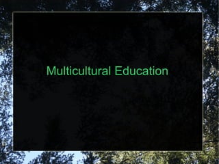Multicultural Education
 