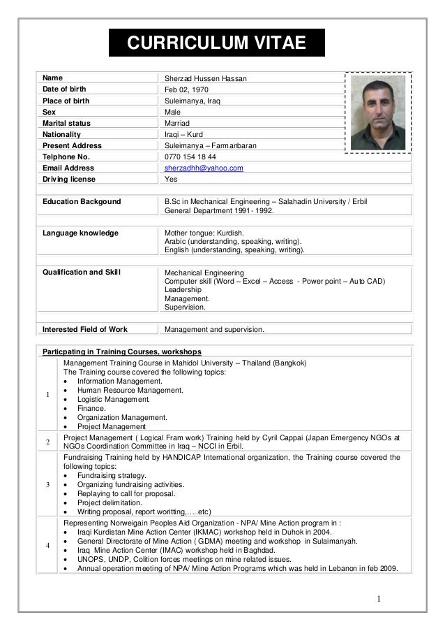 Sherzad English CV
