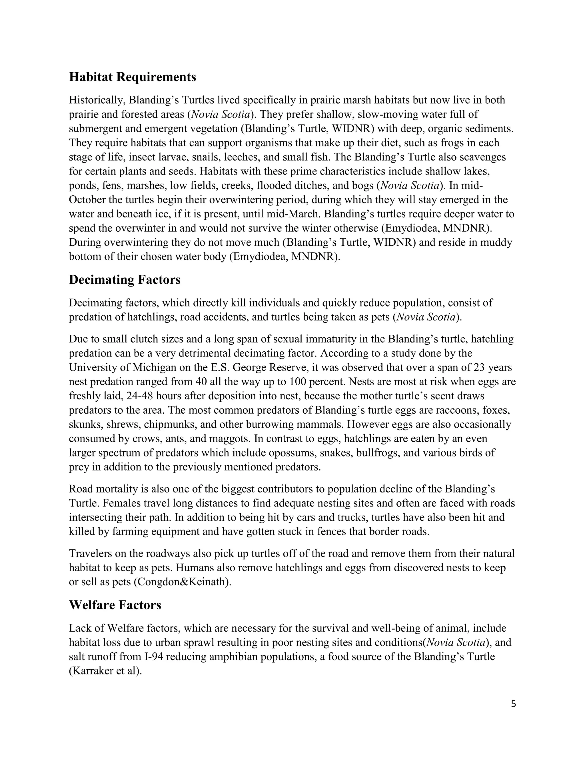 Blanding's Turtle Management Plan | PDF