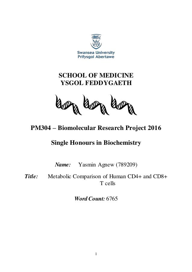 Research project write up