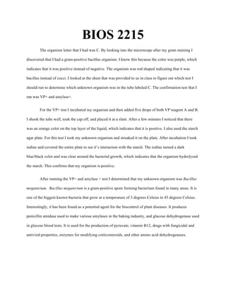 BIOS 2215
The organism letter that I had was C. By looking into the microscope after my gram staining I
discovered that I had a gram-positive bacillus organism. I know this because the color was purple, which
indicates that it was positive instead of negative. The organism was rod shaped indicating that it was
bacillus instead of cocci. I looked at the sheet that was provided to us in class to figure out which test I
should run to determine which unknown organism was in the tube labeled C. The confirmation test that I
ran was VP+ and amylase+.
For the VP+ test I incubated my organism and then added five drops of both VP reagent A and B.
I shook the tube well, took the cap off, and placed it at a slant. After a few minutes I noticed that there
was an orange color on the top layer of the liquid, which indicates that it is positive. I also used the starch
agar plate. For this test I took my unknown organism and streaked it on the plate. After incubation I took
iodine and covered the entire plate to see it’s interaction with the starch. The iodine turned a dark
blue/black color and was clear around the bacterial growth, which indicates that the organism hydrolyzed
the starch. This confirms that my organism is positive.
After running the VP+ and amylase + test I determined that my unknown organism was Bacillus
megatarium. Bacillus megaterium is a gram-positive spore forming bacterium found in many areas. It is
one of the biggest known bacteria that grow at a temperature of 3 degrees Celsius to 45 degrees Celsius.
Interestingly, it has been found as a potential agent for the biocontrol of plant diseases. It produces
penicillin amidase used to make various amylases in the baking industry, and glucose dehydrogenase used
in glucose blood tests. It is used for the production of pyruvate, vitamin B12, drugs with fungicidal and
antiviral properties, enzymes for modifying corticosteroids, and other amino acid dehydrogenases.
 