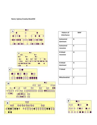 Name:	
  Sydney	
  Crowley	
  Bios2250	
  
	
   	
   	
   	
   	
   	
   	
   	
   	
   	
  
	
  
Pattern	
  of	
  
inheritance	
  
MAP	
  
Autosomal	
  
dominant	
  	
  
B	
  
Autosomal	
  
recessive	
  	
  
E	
  
X-­‐linked	
  
recessive	
  	
  
	
  
D	
  
X-­‐linked	
  
dominant	
  	
  
A	
  
Y-­‐linked	
  	
  
	
  
F	
  
Mitochondrial	
  	
  
	
  
C	
  
A
B
C
D
E
F
 