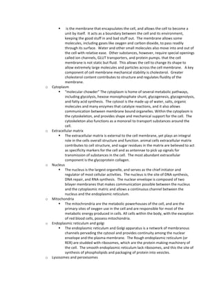 § 	
  is	
  the	
  membrane	
  that	
  encapsulates	
  the	
  cell,	
  and	
  allows	
  the	
  cell	
  to	
  become	
  a	
  
unit	
  by	
  itself.	
  	
  It	
  acts	
  as	
  a	
  boundary	
  between	
  the	
  cell	
  and	
  its	
  environment,	
  
keeping	
  the	
  good	
  stuff	
  in	
  and	
  bad	
  stuff	
  out.	
  	
  The	
  membrane	
  allows	
  some	
  
molecules,	
  including	
  gases	
  like	
  oxygen	
  and	
  carbon	
  dioxide,	
  to	
  pass	
  readily	
  
through	
  its	
  surface.	
  	
  Water	
  and	
  other	
  small	
  molecules	
  also	
  move	
  into	
  and	
  out	
  of	
  
the	
  cell	
  with	
  relative	
  ease.	
  	
  Other	
  substances,	
  however,	
  require	
  special	
  openings	
  
called	
  ion	
  channels,	
  GLUT	
  transporters,	
  and	
  protein	
  pumps.	
  that	
  the	
  cell	
  
membrane	
  is	
  not	
  static	
  but	
  fluid.	
  	
  This	
  allows	
  the	
  cell	
  to	
  change	
  its	
  shape	
  to	
  
allow	
  extremely	
  large	
  molecules	
  and	
  particles	
  across	
  the	
  cell	
  membrane.	
  	
  	
  A	
  key	
  
component	
  of	
  cell	
  membrane	
  mechanical	
  stability	
  is	
  cholesterol.	
  	
  Greater	
  
cholesterol	
  content	
  contributes	
  to	
  structure	
  and	
  regulates	
  fluidity	
  of	
  the	
  
membrane.	
  
o Cytoplasm	
  
§ “molecular	
  chowder”	
  The	
  cytoplasm	
  is	
  home	
  of	
  several	
  metabolic	
  pathways,	
  
including	
  glycolysis,	
  hexose	
  monophosphate	
  shunt,	
  glycogenesis,	
  glycogenolysis,	
  
and	
  fatty	
  acid	
  synthesis.	
  	
  The	
  cytosol	
  is	
  the	
  made	
  up	
  of	
  water,	
  salts,	
  organic	
  
molecules	
  and	
  many	
  enzymes	
  that	
  catalyze	
  reactions,	
  and	
  it	
  also	
  allows	
  
communication	
  between	
  membrane	
  bound	
  organelles.	
  Within	
  the	
  cytoplasm	
  is	
  
the	
  cytoskeleton,	
  and	
  provides	
  shape	
  and	
  mechanical	
  support	
  for	
  the	
  cell.	
  	
  The	
  
cytoskeleton	
  also	
  functions	
  as	
  a	
  monorail	
  to	
  transport	
  substances	
  around	
  the	
  
cell.	
  	
  	
  
o Extracellular	
  matrix	
  	
  
§ The	
  extracellular	
  matrix	
  is	
  external	
  to	
  the	
  cell	
  membrane,	
  yet	
  plays	
  an	
  integral	
  
role	
  in	
  the	
  cells	
  overall	
  structure	
  and	
  function.	
  animal	
  cells	
  extracellular	
  matrix	
  
contributes	
  to	
  cell	
  structure,	
  and	
  sugar	
  residues	
  in	
  the	
  matrix	
  are	
  believed	
  to	
  act	
  
as	
  specificity	
  markers	
  for	
  the	
  cell	
  and	
  as	
  antennae	
  to	
  pick	
  up	
  signals	
  for	
  
transmission	
  of	
  substances	
  in	
  the	
  cell.	
  	
  The	
  most	
  abundant	
  extracellular	
  
component	
  is	
  the	
  glycoprotein	
  collagen.	
  	
  
o Nucleus	
  	
  
§ The	
  nucleus	
  is	
  the	
  largest	
  organelle,	
  and	
  serves	
  as	
  the	
  chief	
  initiator	
  and	
  
regulator	
  of	
  most	
  cellular	
  activities.	
  	
  The	
  nucleus	
  is	
  the	
  site	
  of	
  DNA	
  synthesis,	
  
DNA	
  repair,	
  and	
  RNA	
  synthesis.	
  	
  The	
  nuclear	
  envelope	
  is	
  composed	
  of	
  two	
  
bilayer	
  membranes	
  that	
  makes	
  communication	
  possible	
  between	
  the	
  nucleus	
  
and	
  the	
  cytoplasmic	
  matric	
  and	
  allows	
  a	
  continuous	
  channel	
  between	
  the	
  
nucleus	
  and	
  the	
  endoplasmic	
  reticulum.	
  	
  	
  
o Mitochondria	
  	
  
§ The	
  mitochrondria	
  are	
  the	
  metabolic	
  powerhouses	
  of	
  the	
  cell,	
  and	
  are	
  the	
  
primary	
  sites	
  of	
  oxygen	
  use	
  in	
  the	
  cell	
  and	
  are	
  responsible	
  for	
  most	
  of	
  the	
  
metabolic	
  energy	
  produced	
  in	
  cells.	
  All	
  cells	
  within	
  the	
  body,	
  with	
  the	
  exception	
  
of	
  red	
  blood	
  cells,	
  possess	
  mitochondria.	
  	
  	
  
o Endoplasmic	
  reticulum	
  and	
  golgi	
  
§ The	
  endoplasmic	
  reticulum	
  and	
  Golgi	
  apparatus	
  is	
  a	
  network	
  of	
  membranous	
  
channels	
  pervading	
  the	
  cytosol	
  and	
  provides	
  continuity	
  among	
  the	
  nuclear	
  
envelope	
  and	
  the	
  plasma	
  membrane.	
  	
  The	
  Rough	
  endoplasmic	
  reticulum	
  (or	
  
RER)	
  are	
  studded	
  with	
  ribosomes,	
  which	
  are	
  the	
  protein	
  making	
  machinery	
  of	
  
the	
  cell.	
  	
  The	
  smooth	
  endoplasmic	
  reticulum	
  lack	
  ribosomes,	
  and	
  this	
  the	
  site	
  of	
  
synthesis	
  of	
  phospholipids	
  and	
  packaging	
  of	
  protein	
  into	
  vesicles.	
  	
  	
  
o Lysosomes	
  and	
  peroxisomes	
  	
  
 