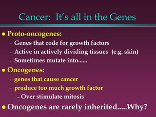 Cancer: It’s all in the Genes
 Proto-oncogenes:
» Genes that code for growth factors
» Active in actively dividing tissues (e.g. skin)
» Sometimes mutate into......
 Oncogenes:
» genes that cause cancer
» produce too much growth factor
– Over stimulate mitosis
 Oncogenes are rarely inherited.....Why?
 