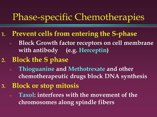 Phase-specific Chemotherapies
1. Prevent cells from entering the S-phase
» Block Growth factor receptors on cell membrane
with antibody (e.g. Herceptin)
2. Block the S phase
» Thioguanine and Methotrexate and other
chemotherapeutic drugs block DNA synthesis
3. Block or stop mitosis
» Taxol: interferes with the movement of the
chromosomes along spindle fibers
 