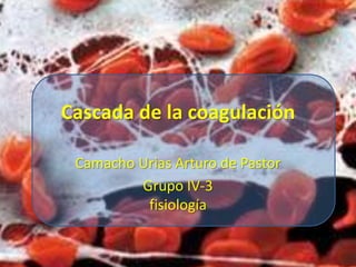 Cascada de la coagulación

 Camacho Urias Arturo de Pastor
         Grupo IV-3
          fisiología
 