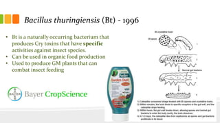 • Bt is a naturally occurring bacterium that
produces Cry toxins that have specific
activities against insect species.
• Can be used in organic food production
• Used to produce GM plants that can
combat insect feeding
Bacillus thuringiensis (Bt) - 1996
 