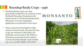 Roundup Ready Crops - 1996
• Roundup Ready crops are crops
genetically modified to be resistant to the
herbicide Roundup. Roundup is the
brand-name of a herbicide produced by
Monsanto. Its active ingredient
glyphosate was patented in the 1970s.
• These crops were developed to help
farmers control weeds. Because the new
crops are resistant to Roundup, the
herbicide can be used in the fields to
eliminate unwanted sensitive plants.
Current Roundup Ready crops include
soy, corn, canola, alfalfa, and cotton.
 