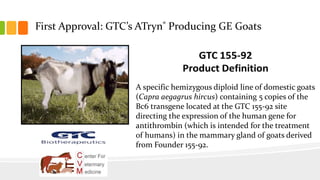 First Approval: GTC’s ATryn® Producing GE Goats
A specific hemizygous diploid line of domestic goats
(Capra aegagrus hircus) containing 5 copies of the
Bc6 transgene located at the GTC 155-92 site
directing the expression of the human gene for
antithrombin (which is intended for the treatment
of humans) in the mammary gland of goats derived
from Founder 155-92.
 