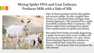 Mixing Spider DNA and Goat Embryos
Produces Milk with a Side of Silk
• One of those proteins is from the golden
orb-weaver spider. Its silk, tougher than
Kevlar, is a hundred times stronger than
human ligaments. The potential for a light,
incredibly resilient fiber is immense: The
future might hold anything from spider
knee replacements to spider parachutes.
• But aside from being viscerally disgusting,
a spider farm just won’t work. Golden orb
weavers are cannibalistic. In 2000, Nexia
Biotechnology figured out a solution to
that problem that reads like science
fiction—it bred goats that can produce the
silk instead.
 