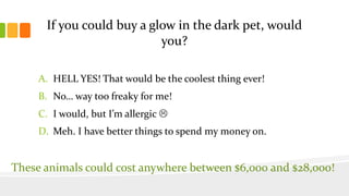 If you could buy a glow in the dark pet, would
you?
A. HELL YES! That would be the coolest thing ever!
B. No… way too freaky for me!
C. I would, but I’m allergic 
D. Meh. I have better things to spend my money on.
These animals could cost anywhere between $6,000 and $28,000!
 