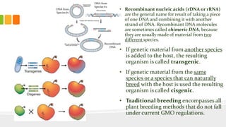 DNA from
Species #1
DNA from
Species #2
Recombinant
DNA
• Recombinant nucleic acids (rDNA or rRNA)
are the general name for result of taking a piece
of one DNA and combining it with another
strand of DNA. Recombinant DNA molecules
are sometimes called chimeric DNA, because
they are usually made of material from two
different species.
• If genetic material from another species
is added to the host, the resulting
organism is called transgenic.
• If genetic material from the same
species or a species that can naturally
breed with the host is used the resulting
organism is called cisgenic.
• Traditional breeding encompasses all
plant breeding methods that do not fall
under current GMO regulations.
 