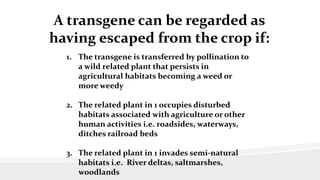 A transgene can be regarded as
having escaped from the crop if:
1. The transgene is transferred by pollination to
a wild related plant that persists in
agricultural habitats becoming a weed or
more weedy
2. The related plant in 1 occupies disturbed
habitats associated with agriculture or other
human activities i.e. roadsides, waterways,
ditches railroad beds
3. The related plant in 1 invades semi-natural
habitats i.e. River deltas, saltmarshes,
woodlands
 