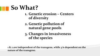 So What?
1. Genetic erosion – Centers
of diversity
2. Genetic pollution of
natural gene pools
3. Changes in invasiveness
of the species
1 & 2 are independent of the transgene, while 3 is dependent on the
nature of the transgene.
 