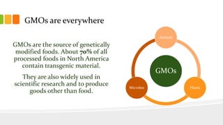 GMOs are everywhere
GMOs are the source of genetically
modified foods. About 70% of all
processed foods in North America
contain transgenic material.
They are also widely used in
scientific research and to produce
goods other than food.
GMOs
Animals
PlantsMicrobes
 
