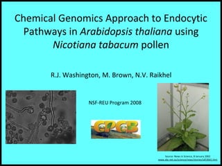 Chemical Genomics Approach to Endocytic
Pathways in Arabidopsis thaliana using
Nicotiana tabacum pollen
R.J. Washington, M. Brown, N.V. Raikhel
NSF-REU Program 2008
Source: News in Science, 8 January 2002
www.abc.net.au/science/news/stories/s453641.htm
 