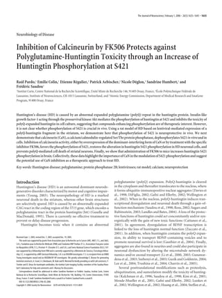Neurobiology of Disease
Inhibition of Calcineurin by FK506 Protects against
Polyglutamine-Huntingtin Toxicity through an Increase of
Huntingtin Phosphorylation at S421
Rau´l Pardo,1 Emilie Colin,1 Etienne Re´gulier,2 Patrick Aebischer,2 Nicole De´glon,3 Sandrine Humbert,1 and
Fre´de´ric Saudou1
1Institut Curie, Centre National de la Recherche Scientifique, Unite´ Mixte de Recherche 146, 91405 Orsay, France, 2E´cole Polytechnique Fe´de´rale de
Lausanne, Institute of Neurosciences, CH-1015 Lausanne, Switzerland, and 3Atomic Energy Commission, Department of Medical Research and ImaGene
Program, 91400 Orsay, France
Huntington’s disease (HD) is caused by an abnormal expanded polyglutamine (polyQ) repeat in the huntingtin protein. Insulin-like
growthfactor-1actingthroughtheprosurvivalkinaseAktmediatesthephosphorylationofhuntingtinatS421andinhibitsthetoxicityof
polyQ-expanded huntingtin in cell culture, suggesting that compounds enhancing phosphorylation are of therapeutic interest. However,
it is not clear whether phosphorylation of S421 is crucial in vivo. Using a rat model of HD based on lentiviral-mediated expression of a
polyQ-huntingtin fragment in the striatum, we demonstrate here that phosphorylation of S421 is neuroprotective in vivo. We next
demonstratethatcalcineurin(CaN),acalcium/calmodulin-regulatedSer/Thrproteinphosphatase,dephosphorylatesS421invitroandin
cells.Inhibitionofcalcineurinactivity,eitherbyoverexpressionofthedominant-interferingformofCaNorbytreatmentwiththespecific
inhibitorFK506,favorsthephosphorylationofS421,restoresthealterationinhuntingtinS421phosphorylationinHDneuronalcells,and
prevents polyQ-mediated cell death of striatal neurons. Finally, we show that administration of FK506 to mice increases huntingtin S421
phosphorylationinbrain.Collectively,thesedatahighlighttheimportanceofCaNinthemodulationofS421phosphorylationandsuggest
the potential use of CaN inhibition as a therapeutic approach to treat HD.
Key words: Huntington disease; polyglutamine; protein phosphatase 2B; lentiviruses; rat model; calcium; neuroprotection
Introduction
Huntington’s disease (HD) is an autosomal dominant neurode-
generative disorder characterized by motor and cognitive impair-
ments (Young, 2003). The neuropathology of HD is a marked
neuronal death in the striatum, whereas other brain structures
are selectively spared. HD is caused by an abnormally expanded
CAG tract in the coding region of the IT15 gene, which encodes a
polyglutamine tract in the protein huntingtin (htt) (Gusella and
MacDonald, 1995). There is currently no effective treatment to
prevent or delay disease progression.
Huntingtin becomes toxic when it contains an abnormal
polyglutamine (polyQ) expansion. PolyQ-huntingtin is cleaved
in the cytoplasm and thereafter translocates to the nucleus, where
it forms ubiquitin-immunopositive nuclear aggregates (Davies et
al., 1998; DiFiglia, 2002; Gafni and Ellerby, 2002; Wellington et
al., 2002). When in the nucleus, polyQ-huntingtin induces tran-
scriptional dysregulation and neuronal death through a gain-of-
function mechanism (Saudou et al., 1998; Ross, 2002; Sugars and
Rubinsztein, 2003; Landles and Bates, 2004). A loss of the protec-
tive functions of huntingtin could act concomitantly and/or syn-
ergistically with the gain of new toxic functions (Cattaneo et al.,
2001). In agreement, dysregulation of BDNF transcription is
linked to the loss of huntingtin normal function (Zuccato et al.,
2001). In addition, when huntingtin contains the polyQ expan-
sion, its ability to transport BDNF-containing vesicles and to
promote neuronal survival is lost (Gauthier et al., 2004). Finally,
aggregates are also found in neurites and could also participate in
neuronal dysfunction by altering the microtubule network dy-
namics and/or axonal transport (Li et al., 2000, 2003; Gunawar-
dena et al., 2003; Szebenyi et al., 2003; Guzik and Goldstein, 2004;
Lee et al., 2004; Trushina et al., 2004; Charrin et al., 2005).
Several posttranslational modifications such as proteolysis,
ubiquitination, and sumoylation modify the toxicity of hunting-
tin (Kalchman et al., 1996; Saudou et al., 1998; Kim et al., 2001;
Mende-Mueller et al., 2001; Gafni and Ellerby, 2002; Lunkes et
al., 2002; Wellington et al., 2002; Huang et al., 2004; Steffan et al.,
Received Sept. 1, 2005; revised Dec. 7, 2005; accepted Dec. 19, 2005.
This work was supported by grants from Association pour la Recherche sur le Cancer (ARC, 4807, F.S., and 3665,
S.H.), Fondation pour la Recherche Me´dicale (FRM) and Fondation BNP Paribas (F.S.), Association Franc¸aise contre
lesMyopathies(AFM,F.S.),Provital–P.Chevalier(F.S.andS.H.),andSwissNationalScienceFoundation(N.D.).R.P.
was supported by a fellowship from FRM and is currently supported by a Ministerio de Ciencia y Tecnologia fellow-
ship.E.C.issupportedbyaMRTdoctoralfellowship.S.H.isanINSERMinvestigator.F.S.isarecipientfromanEMBO
Young Investigator award and an INSERM/AP-HP investigator. We greatly acknowledge E. Bryson for generating
lentiviralconstructs;A.Israel,A.Lilienbaum,M.KobrandN.MermodforkindlyprovidinguswithCaNconstructs;Y.
Trottier and D. Devys for huntingtin antibodies; the Institut Curie Imaging Facility; members of the Saudou/Hum-
bert’s laboratory for help and comments and I. Mansuy for discussions.
Correspondence should be addressed to either Sandrine Humbert or Fre´de´ric Saudou, Institut Curie, Centre
National de la Recherche Scientifique, Unite´ Mixte de Recherche 146, Building 110, Centre Universitaire, 91405
Orsay, France. E-mail: Sandrine.Humbert@curie.u-psud.fr or Frederic.Saudou@curie.u-psud.fr.
DOI:10.1523/JNEUROSCI.3706-05.2006
Copyright © 2006 Society for Neuroscience 0270-6474/06/261635-11$15.00/0
The Journal of Neuroscience, February 1, 2006 • 26(5):1635–1645 • 1635
 
