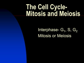 The Cell Cycle-
Mitosis and Meiosis
Interphase- G1, S, G2
Mitosis or Meiosis
 
