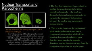 Karyopherins Function cell nucleus session 1 | PPTX