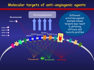 Molecular targets of anti-angiogenic agents VEGFR-1 VEGFR-2 VEGFR-3 PDGFR-ß PDGFR-α c-Kit Flt-3 Anti-angiogenesis Bevacizumab Different activities against multiple kinase targets may result in differing efficacy and toxicity profiles VEGF-A VEGF-B VEGF-C VEGF-D VEGF-E Pazopanib 1 Sorafenib 2 Raf Sunitinib 3 