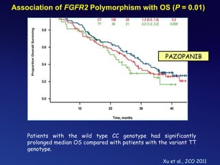 Association of  FGFR2  Polymorphism with OS ( P  = 0.01) PAZOPANIB Xu et al., JCO 2011 Patients with the wild type CC genotype had significantly prolonged median OS compared with patients with the variant TT genotype. 