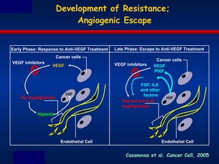 Development of Resistance;  Angiogenic Escape VEGF No angiogenesis Hypoxia Cancer cells VEGF inhibitors Early Phase: Response to Anti-VEGF Treatment Endothelial Cell VEGF PIGF Second wave of angiogenesis  Cancer cells Endothelial Cell FGF, IL8  and other  factors Late Phase: Escape to Anti-VEGF Treatment HIF HIF VEGF inhibitors Casanovas et al. Cancer Cell, 2005 