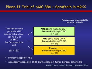 Phase II Trial of AMG 386 + Sorafenib in mRCC Primary endpoint: PFS Secondary endpoints: ORR, DOR, change in tumor burden, safety, PK Treatment-naïve patients with measureable clear-cell mRCC of MSKCC low/intermediate risk (N = 152) AMG 386  10 mg/kg IV QW +  Sorafenib  400 mg PO BID (n = 50) AMG 386  3 mg/kg QW +  Sorafenib  400 mg PO BID (n = 51) Rini BI, et al. ASCO GU 2011. Abstract 309. Progression, unacceptable toxicity, or death Placebo  +  Sorafenib  400 mg PO BID (n = 51) 
