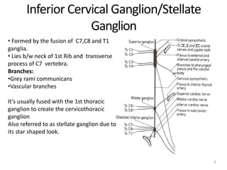 Inferior Cervical Ganglion/Stellate
Ganglion
8
• Formed by the fusion of C7,C8 and T1
ganglia.
• Lies b/w neck of 1st Rib and transverse
process of C7 vertebra.
Branches:
•Grey rami communicans
•Vascular branches
It’s usually fused with the 1st thoracic
ganglion to create the cervicothoracic
ganglion
Also referred to as stellate ganglion due to
its star shaped look.
 