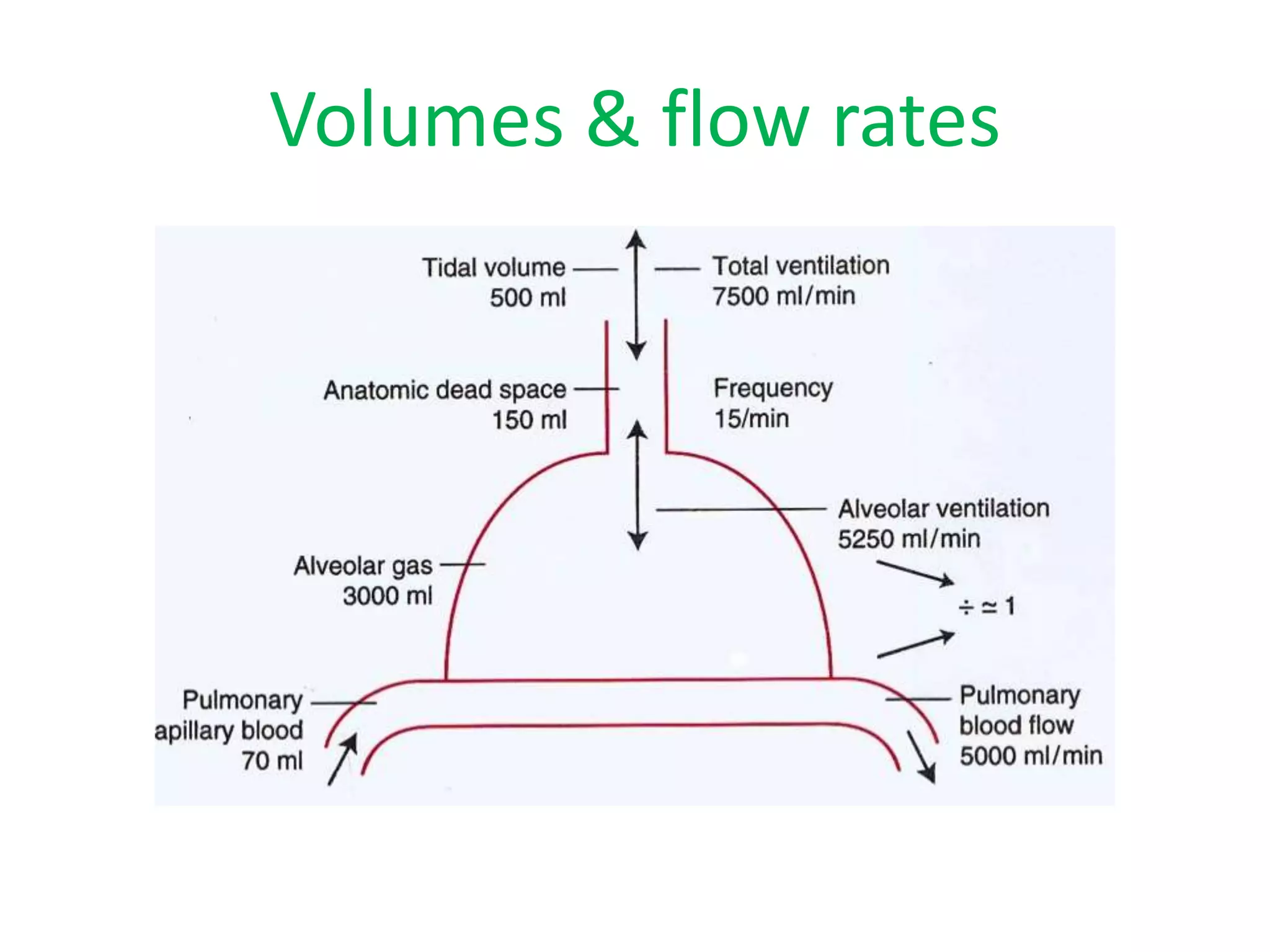 Volumes & flow rates
 