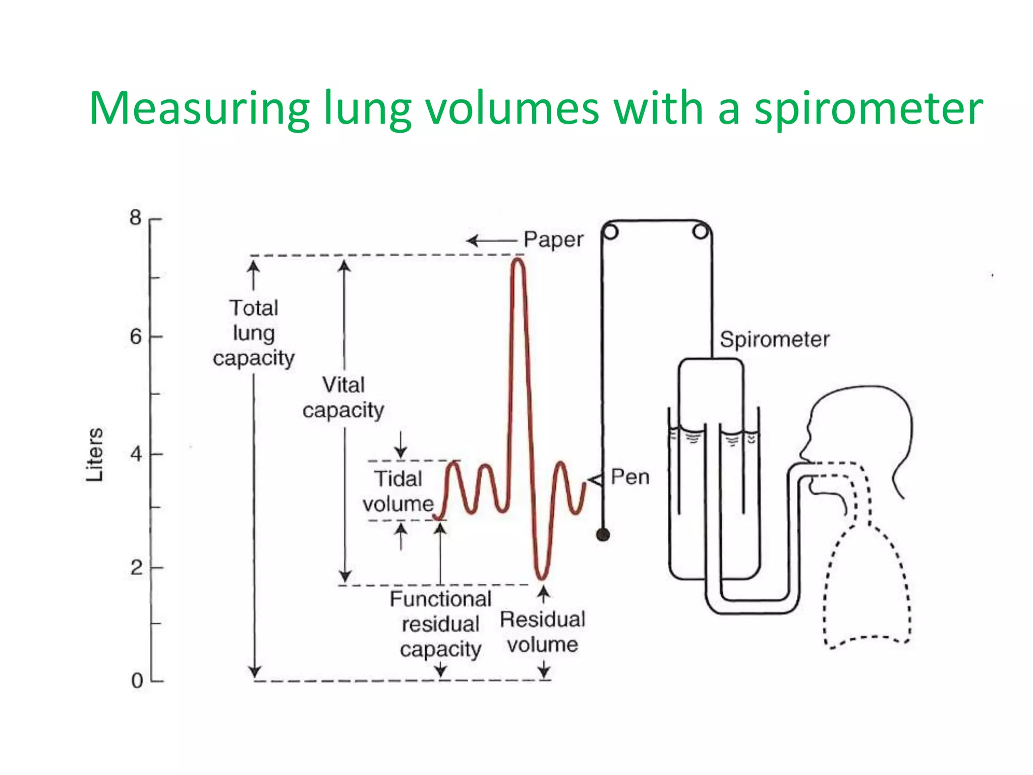 Measuring lung volumes with a spirometer
 