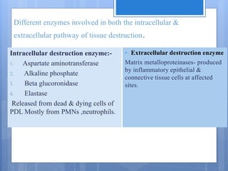 Different enzymes involved in both the intracellular &
extracellular pathway of tissue destruction.
Intracellular destruction enzyme:-
1. Aspartate aminotransferase
2. Alkaline phosphate
3. Beta glucoronidase
4. Elastase
Released from dead & dying cells of
PDL Mostly from PMNs ,neutrophils.
• Extracellular destruction enzyme
Matrix metalloproteinases- produced
by inflammatory epithelial &
connective tissue cells at affected
sites.
 